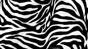 Lotion-Striped Zebra Print